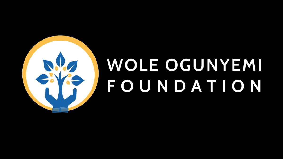 Wole Ogunyemi Undergraduate Scholarship 2024