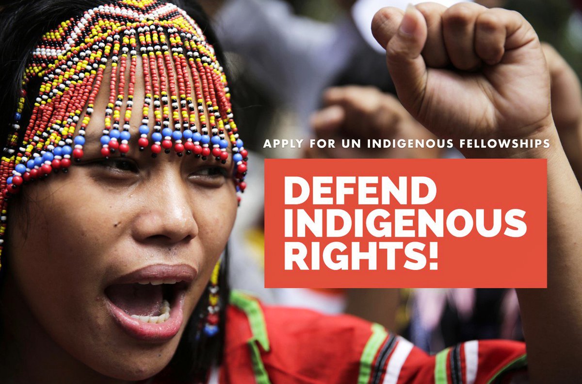 Fully Funded UN OHCHR Indigenous Fellowship Programme 2025