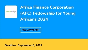 Africa Finance Corporation (AFC) Fellowship 2024 For Young Africans