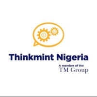 Social Media Digital Intern at Thinkmint Nigeria