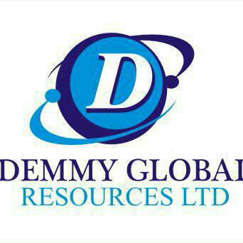 Data Analyst at Demmy Global Resources Limited