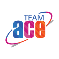 Senior Sales Executive at TeamAce Limited