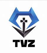 Remote Full Stack Developer at TVZ Corp