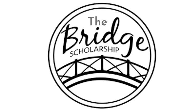 The Bridge Scholarship Program 2024 For Nigerians | Fully Funded