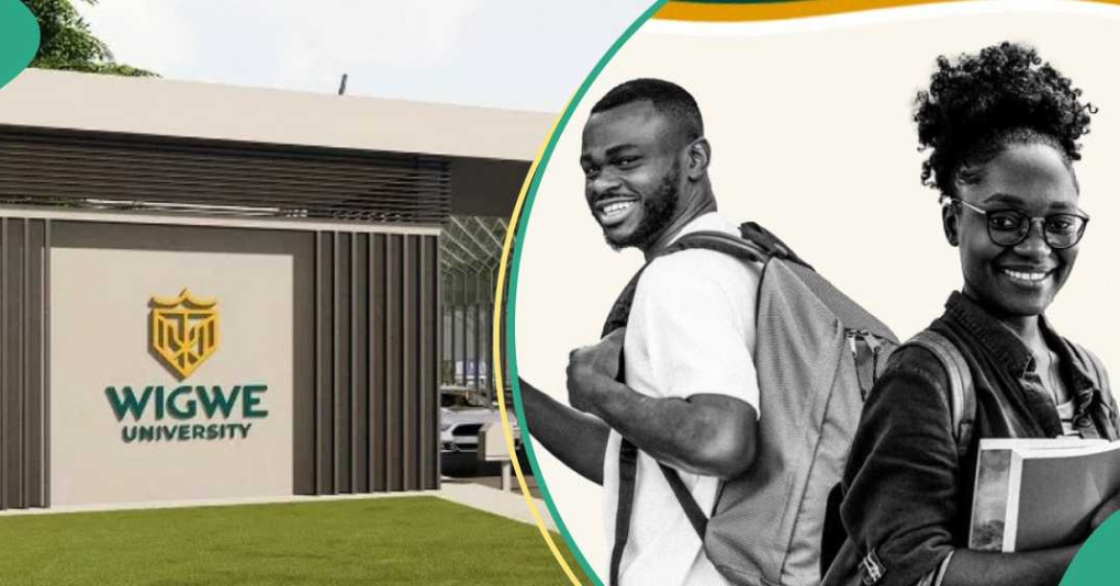 Wigwe University 2024 Merit Scholarship for Nigerian Students