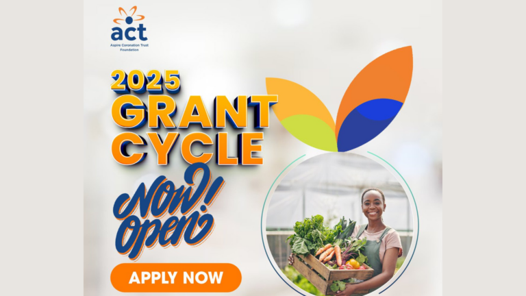 ACT Foundation 2025 Grant Cycle for Organizations in Africa