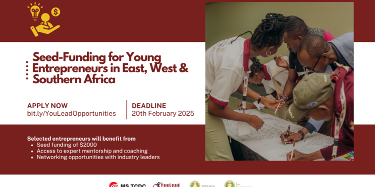 Call for Participation: 2025 Seed-Funding by YouLead Africa for Young Entrepreneurs in East, West & Southern Africa (Win Up to $2000 Grant)