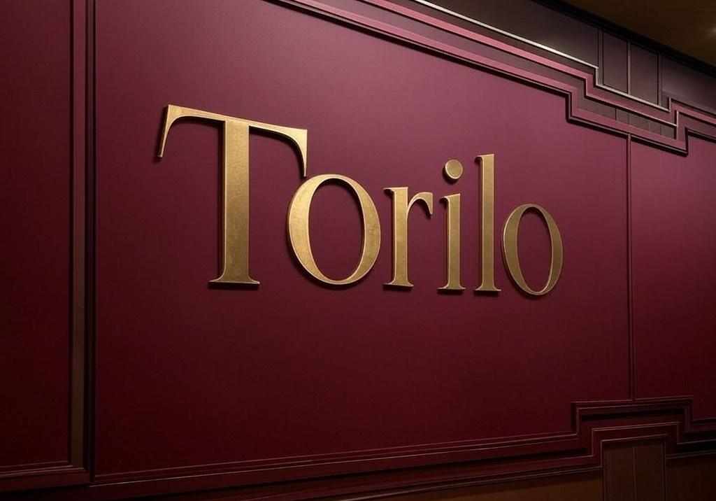 Sales Executive at Torilo