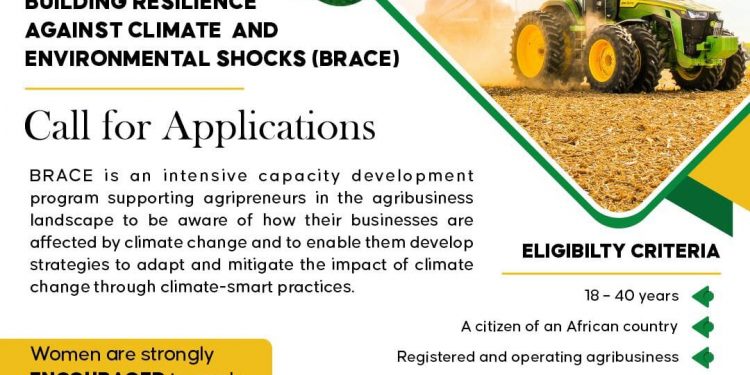 2025 BRACE Program For Agri-SMEs in Africa (Building Resilience Against Climate and Environmental Shocks – Cohort 3)