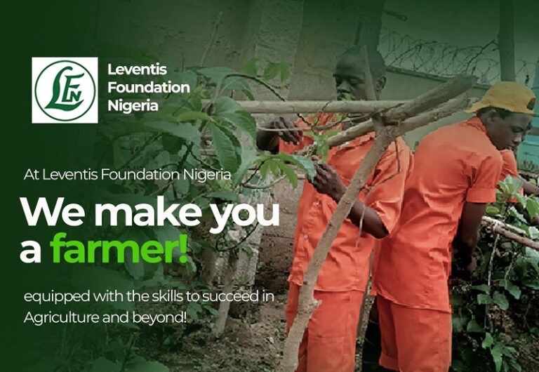 2025 Agricultural Training Program by Leventis Foundation For Nigerians