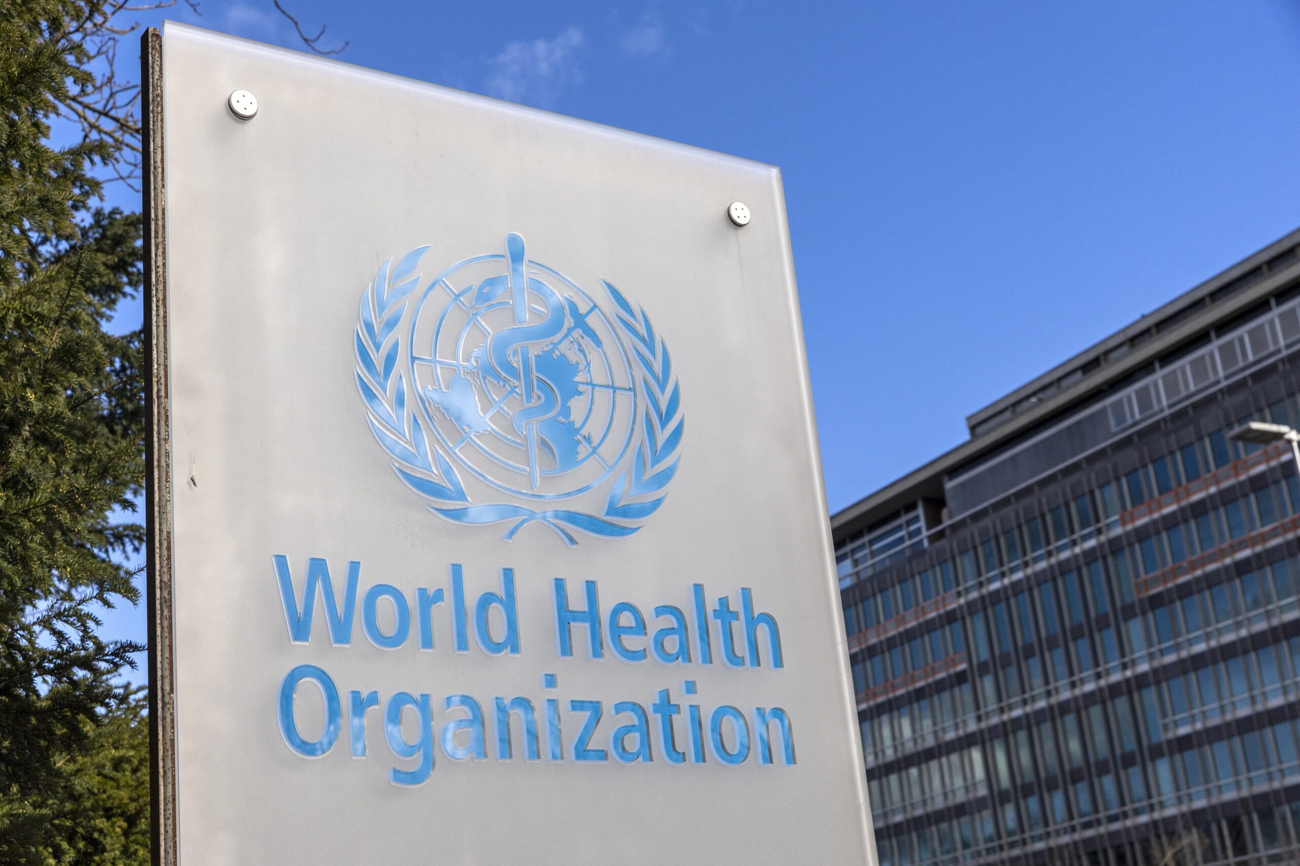 Internship Programme At WHO 2025