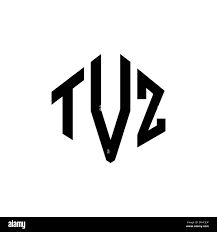 Remote Finance Content Writer at TVZ Corp (Freelance)