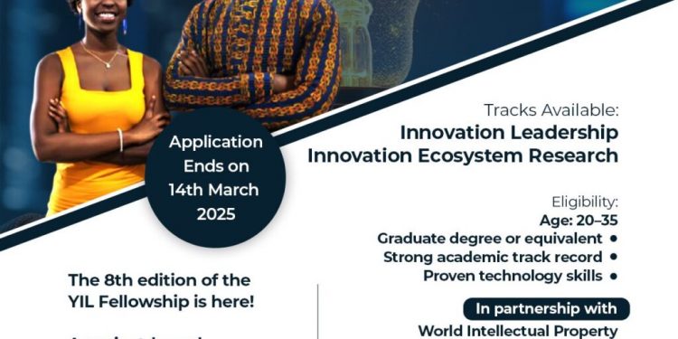 Young Innovation Leaders Fellowship 2025 (YIL) for Young Africans