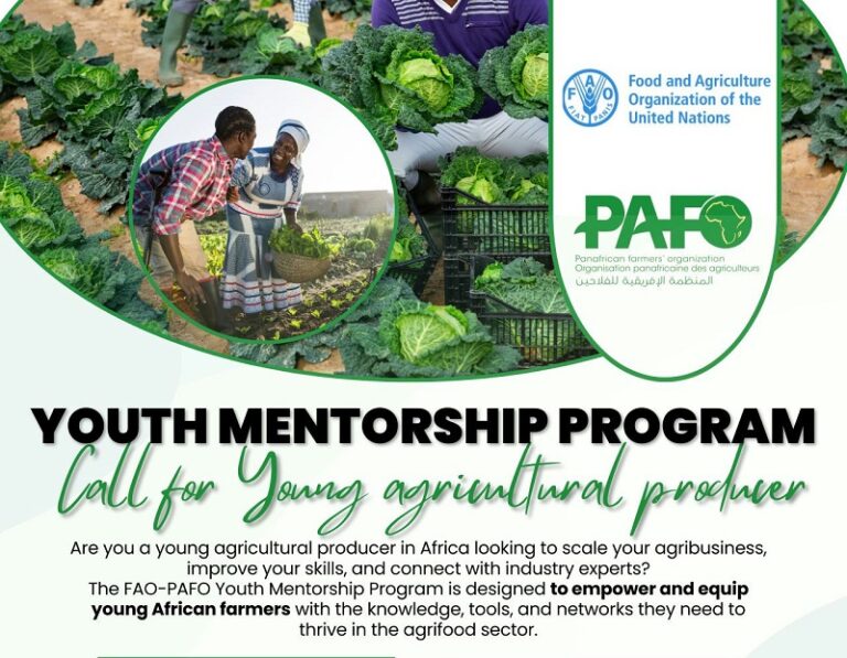 UN FAO-PAFO Youth Mentorship Program 2025