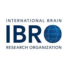 IBRO Exchange Fellowships 2025 (International Brain Research Organization) For Less Developed Countries 