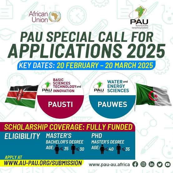 Fully Funded: African Union Scholarship 2025 at the PAU (Pan African University)