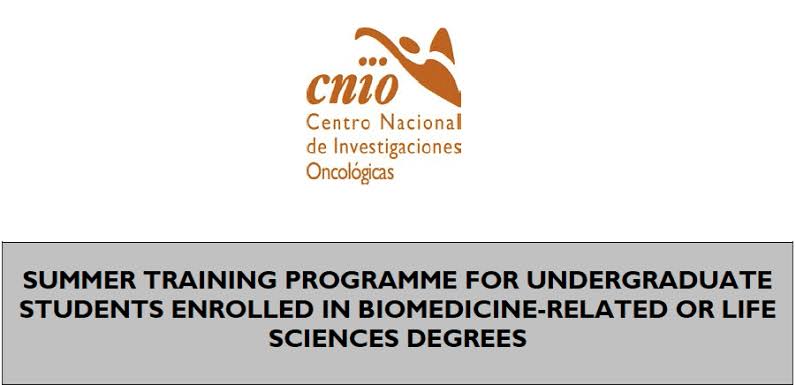 CNIO Summer Training Program 2025 For International Undergraduates to study in Spain 