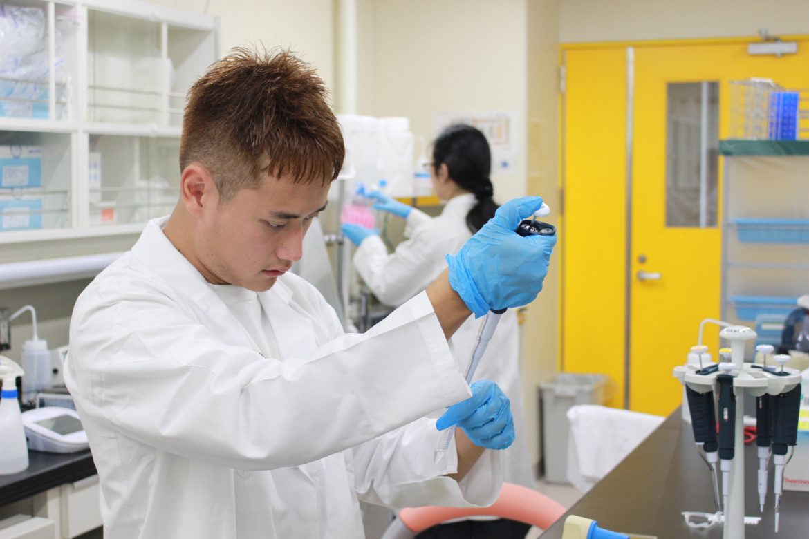 iCeMS Internship 2025 at Kyoto University in Japan