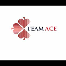 Data Officer at TeamAce Limited