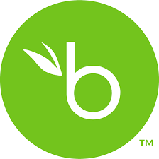 Marketing Copywriter at Bamboo