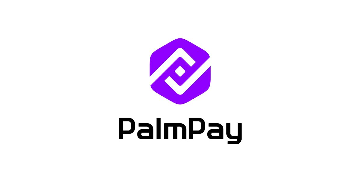 (NYSC) HR Data Analytics Intern at PalmPay Limited
